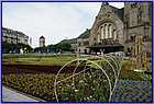 DSC03166.JPG